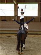 voltitag 2009 _CD1 136